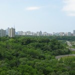 The View