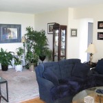 Model Suite